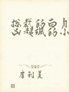 总裁的白月光超凶超飒的小说