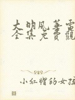 大明风华电视剧全集免费观看下载