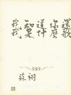 我知道你还爱着我是什么歌