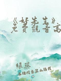 《好先生》全集免费观看高清