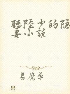 听陆少的隐婚罪妻小说