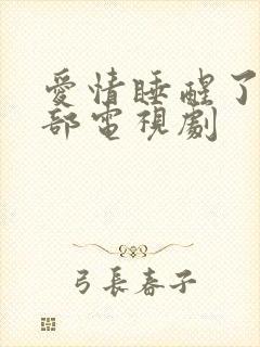 爱情睡醒了第二部电视剧