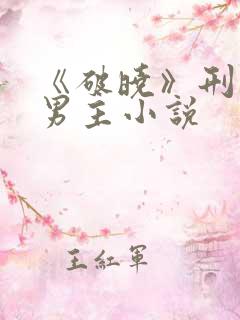 《破晓》刑侦双男主小说