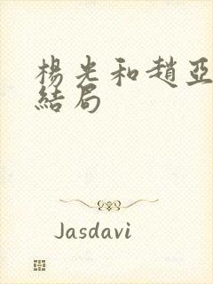 杨光和赵亚宁的结局