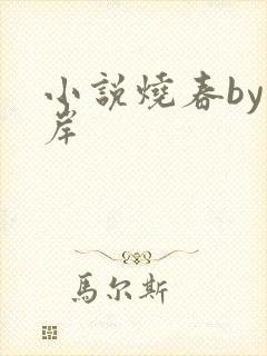 小说烧春by游岸