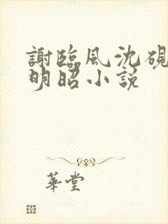 谢临风沈砚卿梁明昭小说