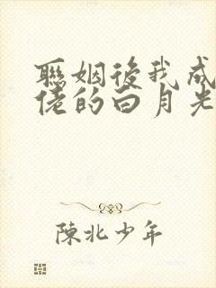 联姻后我成了大佬的白月光笔趣阁