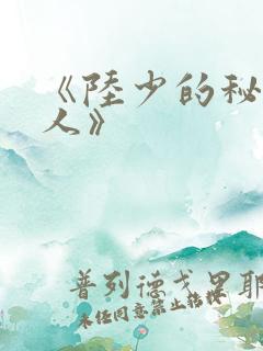 《陆少的秘密恋人》