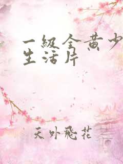 一级全黄少妇色生活片