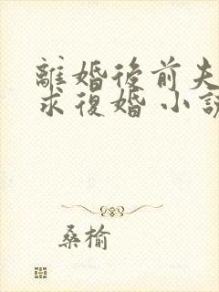 离婚后前夫哭着求复婚 小说