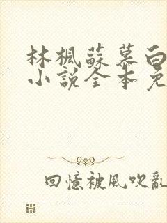 林枫苏慕白穿越小说全本免费阅读黑天帝尊