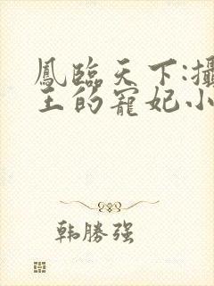 凤临天下:摄政王的宠妃小说小说