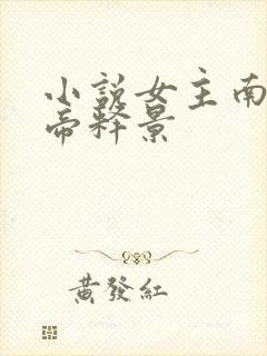 小说女主南知意帝释景