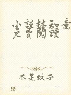 小说林知意宫沉免费阅读