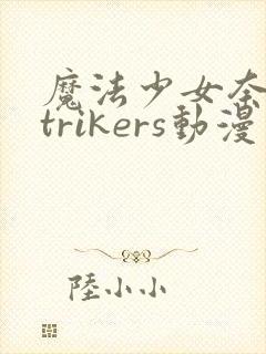 魔法少女奈叶strikers动漫