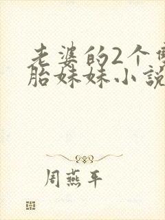 老婆的2个双胞胎妹妹小说