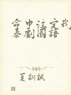 命中注定我爱你泰剧国语