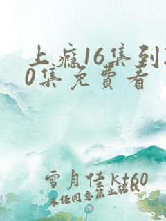 上瘾16集到20集免费看