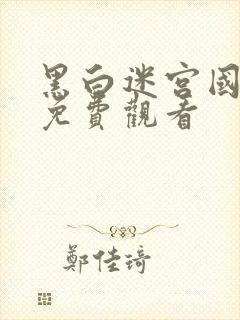 黑白迷宫国语版免费观看