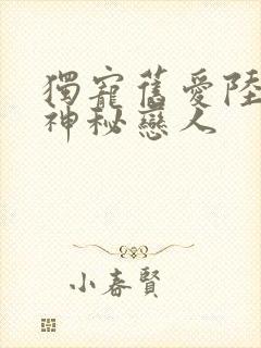 独宠旧爱陆少的神秘恋人