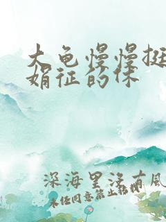 大龟慢慢挺进张娟征的休