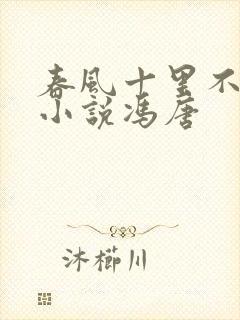 春风十里不如你小说冯唐