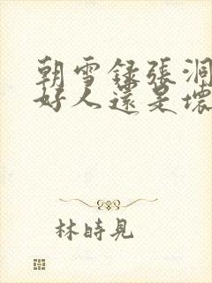 朝雪录张洞玄是好人还是坏人