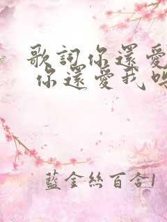 歌词你还爱我吗 你还爱我吗是什么歌