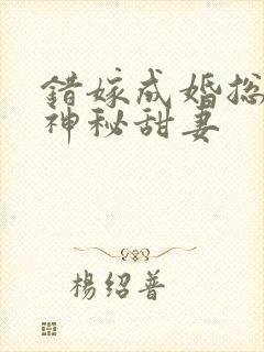 错嫁成婚总裁的神秘甜妻