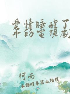 爱情睡醒了几几年的电视剧