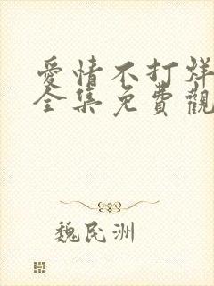 爱情不打烊短剧全集免费观看高清版