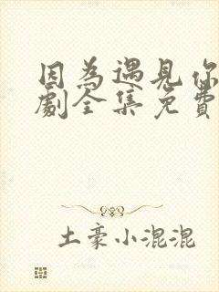 因为遇见你电视剧全集免费流畅播