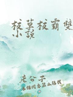 校草校霸双男主小说