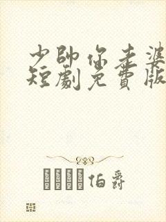 少帅你老婆又跑短剧免费版