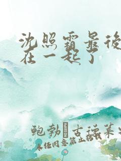 沈照霜最后和谁在一起了