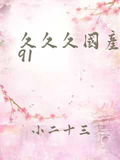 久久久国产精品91