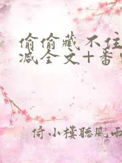 偷偷藏不住未删减全文+番外