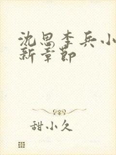 沈思李兵小说最新章节