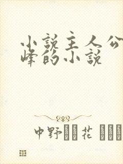 小说主人公叫林峰的小说