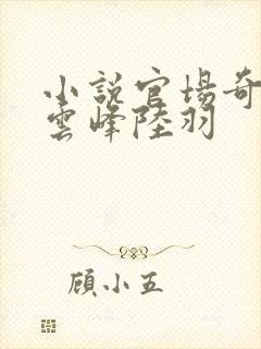 小说官场奇才刘云峰陆羽