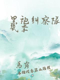 黑袍纠察队总共几季