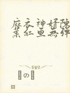 麻衣神婿陈黄皮叶红鱼无弹窗