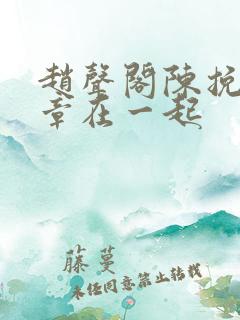 赵声阁陈挽第几章在一起