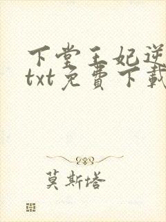 下堂王妃逆袭记txt免费下载