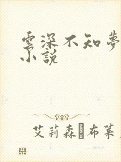 云深不知梦原著小说