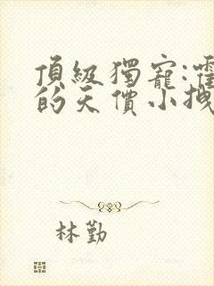 顶级独宠:霍爷的天价小拽妻 二墨