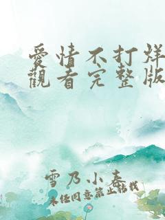 爱情不打烊免费观看完整版全集