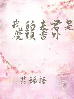 我的夫君是灭世魔头番外