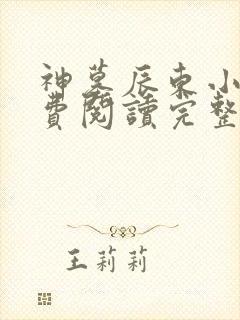神墓辰东小说免费阅读完整版