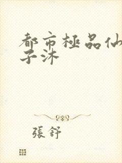 都市极品仙帝木子沐